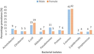Trends in antimicrobial susceptibility patterns of bacterial isolates in Lahore, Pakistan